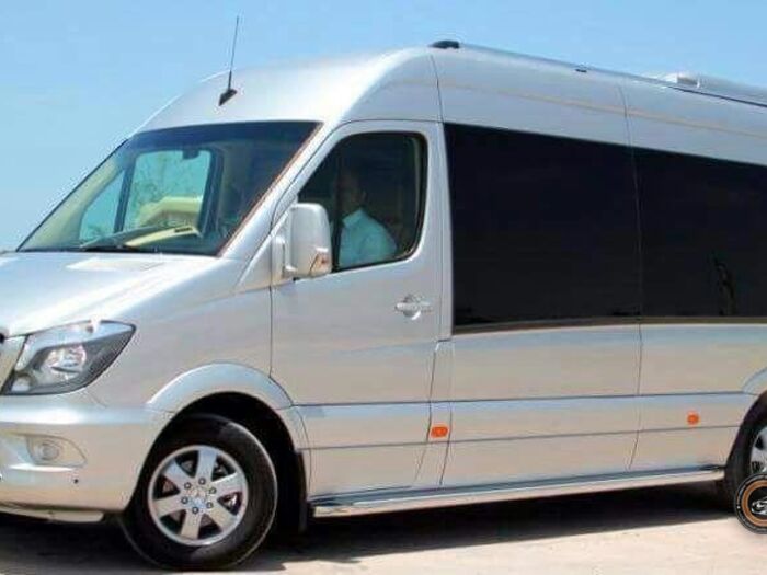 Mercedes Sprinter VIP