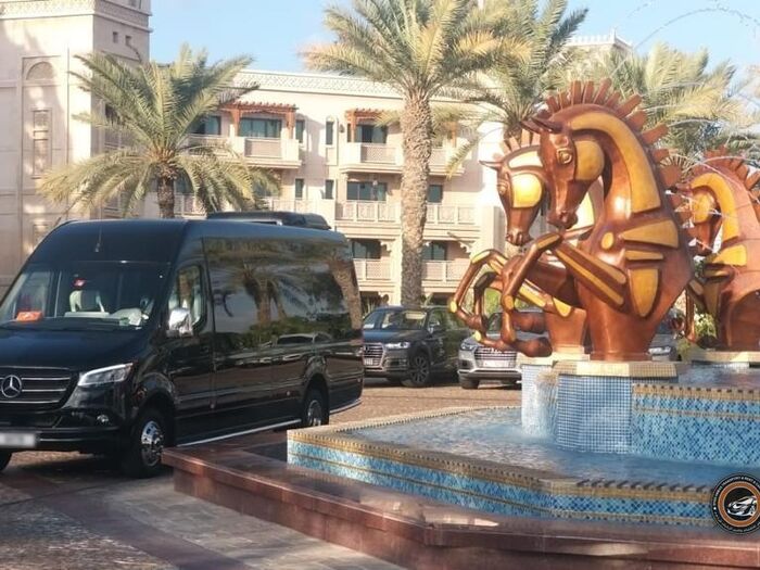 Mercedes Sprinter VIP